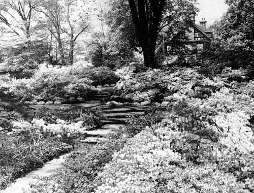 The oldest part of the garden showing the three levels.