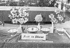 New York Chapter Flower Show