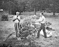 Taylor Arboretum rhododendron garden