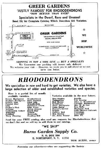 Add03.jpg (184864 bytes)