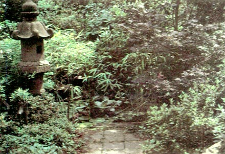 Back pond and lots of textures.