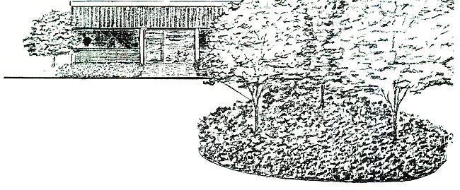 Mass planing garden design