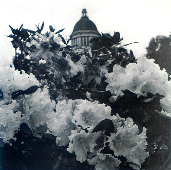 Washington State Capitol