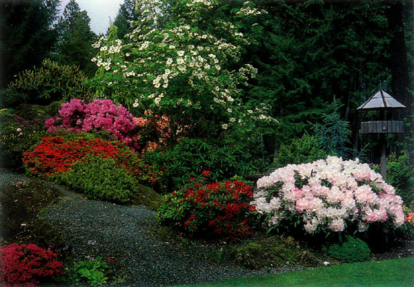 Dougan garden on Malahat mountain