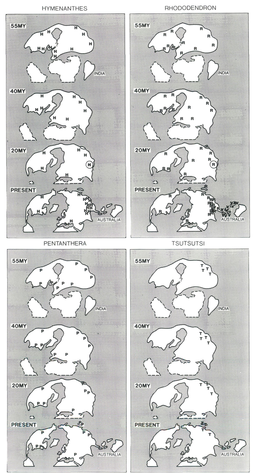 Figure 11. Hypothesis of speciation 
during glacial cycling in region of extreme relief.