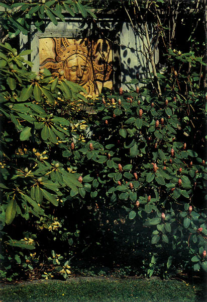 Olympic Lady Group cross made by Endre Ostbo 
and grown from seed by Roy Clark of Olympia, Wash.