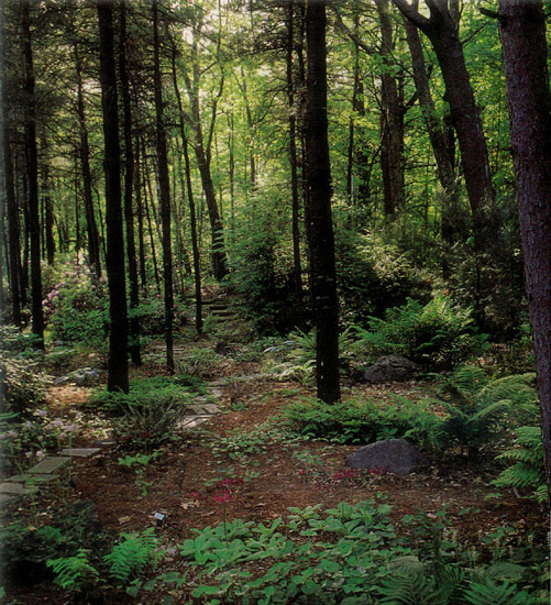 Informal cut stone garden path
