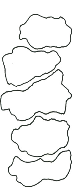 Layout of stepping stones