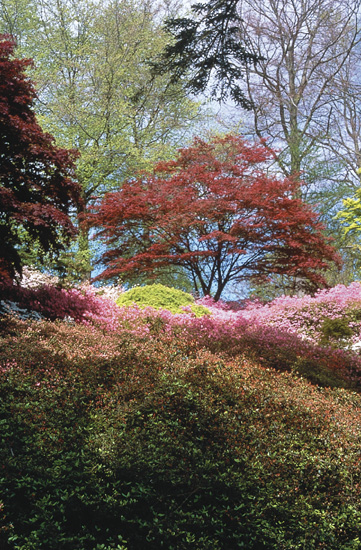 Punch Bowl, home to Kurume azaleas.