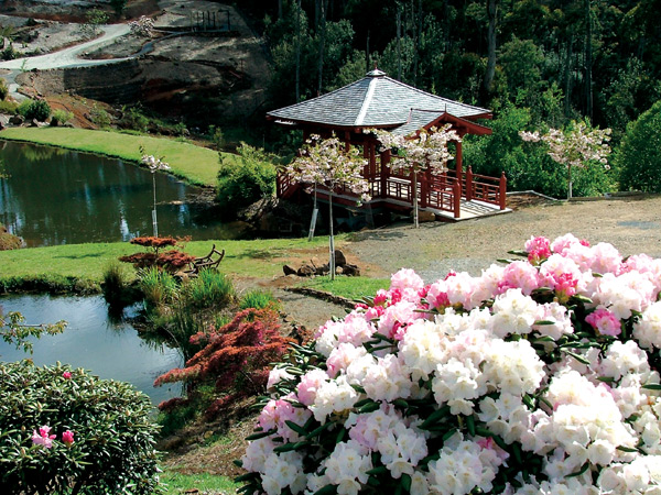 View across lake at
Emu Valley Rhododendron Garden.