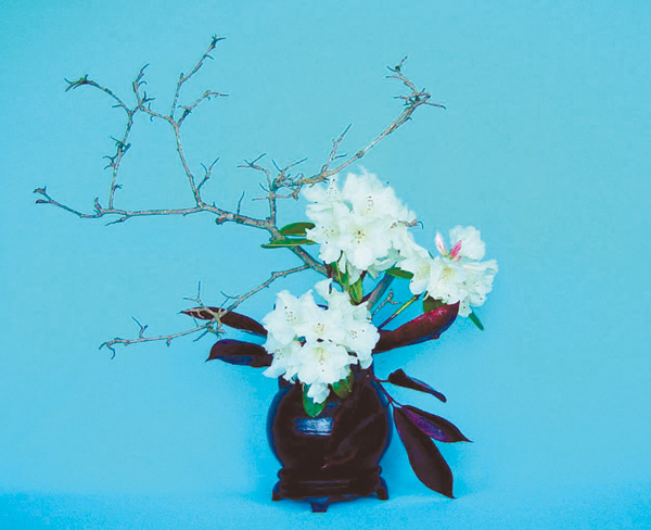 Figure 4.
Weathered Branch Design.