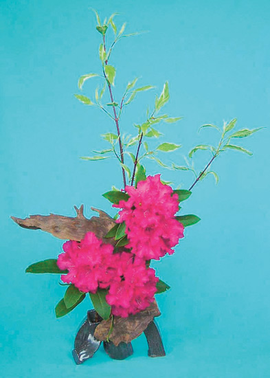 Figure 7.
Piece of Weathered Wood Design.