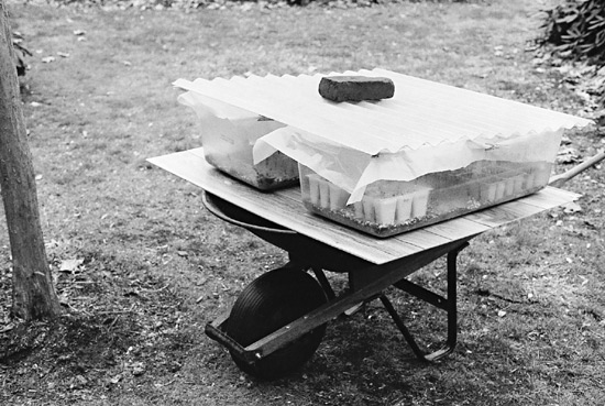 Portable workbench and coldframe