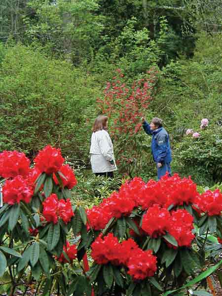 Meerkerk Rhododendron Gardens
