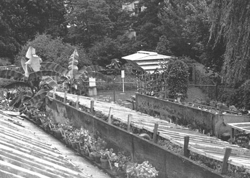 Botanical Garden, Zurich